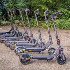Mehrere E-Scooter stehen nebeneinander im Freien. Sie sind bereit für die e scooter zulassung deutschland.