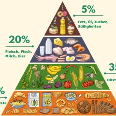 Ernährungspyramide: Kohlenhydrate (40%), Obst/Gemüse (35%), Fleisch/Fisch/Milch/Eier (20%), Fett/Zucker (5%). Hilft beim Kaloriendefizit zum Abnehmen.