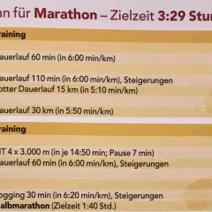Trainingsplan für Marathon-Vorbereitung: Langläufe, Intervalle und ein Halbmarathon-Testlauf.