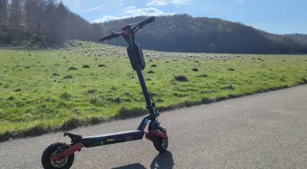 Ein alter E-Scooter steht am Straßenrand. Im Hintergrund weidet eine Schafherde auf einer grünen Wiese vor einem bewaldeten Hügel.
