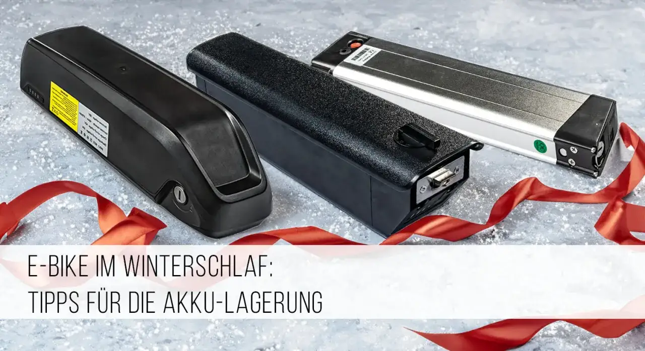 Drei E-Bike Akkus liegen bereit für die Winterpause. Tipps für die akkus richtig lagern, damit sie den Winterschlaf gut überstehen.