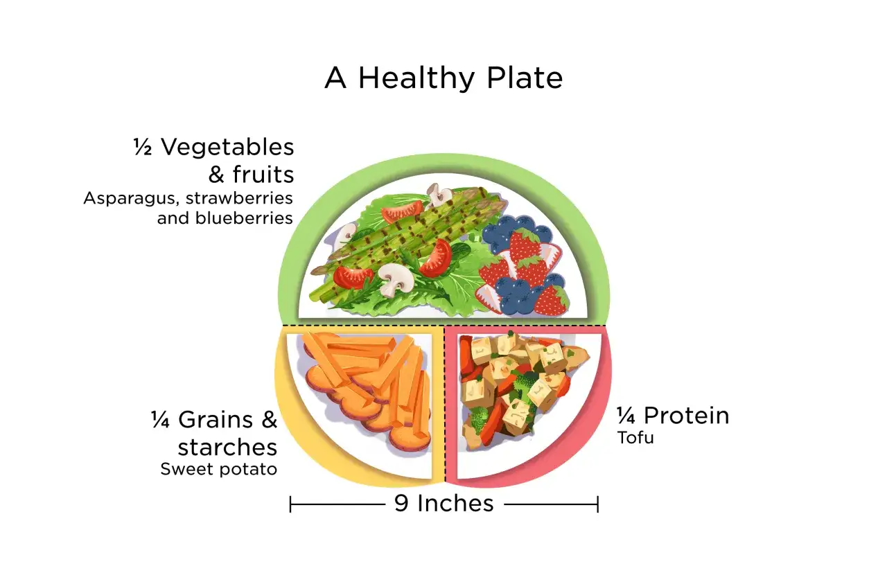 Gesunde Mahlzeit: &frac12; Gem&uuml;se & Obst, &frac14; Kohlenhydrate, &frac14; Protein. Ideal f&uuml;r kaloriendefizit abnehmen.