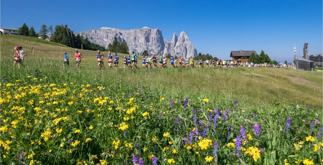 Läufergruppe auf einem Bergpfad, umgeben von blühenden Wiesen und imposanten Felsen. Ein malerischer Halbmarathon in Europa.