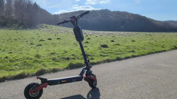 Ein alter E-Scooter steht am Straßenrand. Im Hintergrund weidet eine Schafherde auf einer grünen Wiese vor einem bewaldeten Hügel.